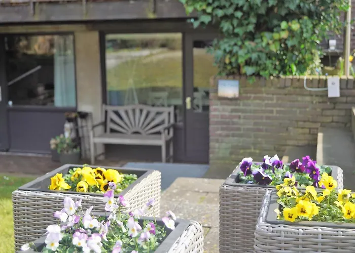 Have A Stay! - Souterrain The Freesia Noordwijk