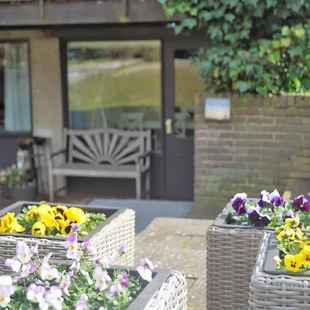 Have A Stay! - Souterrain The Freesia Noordwijk