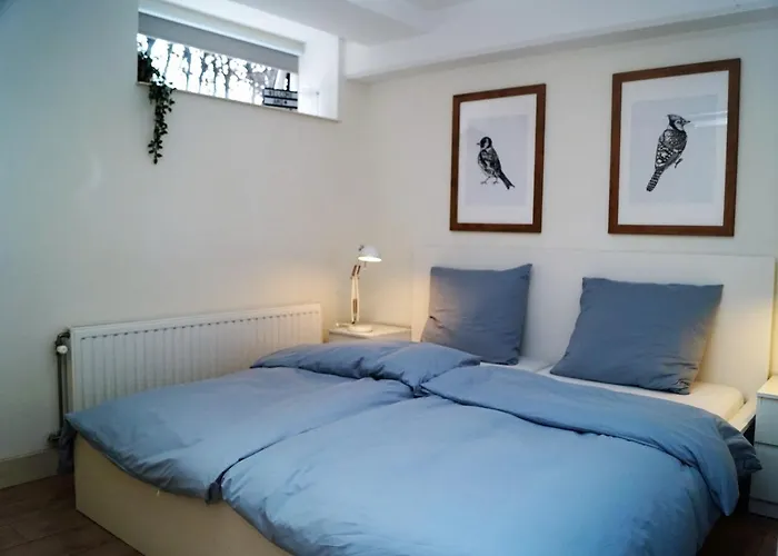 Have A Stay! - Souterrain The Freesia Noordwijk